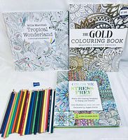 Complete view of three adult colouring books with partial coloured pencil set.