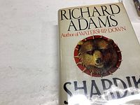 Close-up of the book cover showing the dust jacket artwork, title, and author.