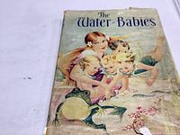 Front cover of The Water Babies book showing detailed illustration of children and a frog by water.