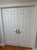 Pair of white paneled interior doors with foam core and brass handles installed, showing full front view.