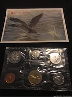 Photo showing a single 1991 Canadian uncirculated coin set in sealed plastic packaging, including six coins and an illustrated envelope with a waterfowl scene.