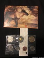 Photo of front of packaging featuring a caribou image and sealed blister pack containing 7 uncirculated Canadian coins from 2001.