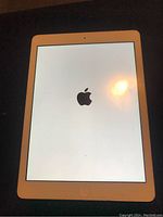 iPad showing Apple logo on screen during startup.