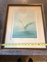 Full view of The Lone Gull framed print with measuring tape showing approx 11.5 inch width