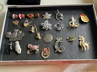Photo of a box with a variety of gold and silver tone pins, brooches, and earrings with holiday and animal themes