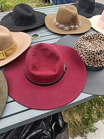 Various felt fedoras and a leopard print fedora, multi-colored including burgundy, tan with trim, pink, navy blue.