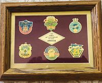 Framed set of six Los Angeles Dodgers 100th anniversary pins on purple velvet background inside a wooden frame.