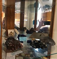 Photo showing azurite, malachite mineral specimens, shark teeth fossil in box, and geodes inside a glass cabinet.