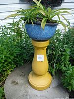 Full view of the yellow concrete plant stand with a blue pot on top, showing surrounding greenery and outdoor setting.