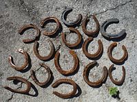 Overview of all 16 old rusted horseshoes arranged on concrete surface showing various shapes and wear.