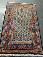 Full view of rug showing entire field, borders, and fringes