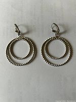 Pair of silver earrings each with two concentric circular hoops with a twisted rope texture, shown flat against a white paper background.