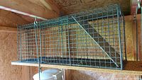 Metal wire mesh cage trap suspended from hooks inside a wooden structure.