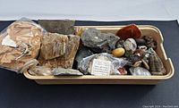 Plastic bin with assorted rocks, crystals, quartz, and fossils including pieces with labels and a visible trilobite fossil