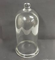 Side view of the large clear glass dome showing its height, rounded top knob, and solid base rim.