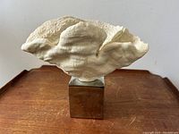 Faux coral sculpture on reflective metal cube base from front angle