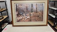 Full view of framed autumn forest print on table.