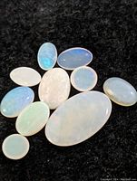 Nine opal cabochon gemstones displayed on a black background, showing their color play and shapes.