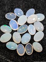 Top-down view of 20 oval opal cabochon stones arranged on black cloth, showing their light, translucent appearance and subtle play of color.