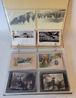 Binder page with black and white and colorized antique postcards including deer and flower greeting cards.
