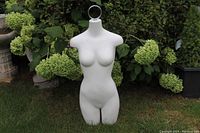 Front view of white female torso mannequin placed outdoors with green shrub background.