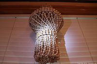 Full view of the hanging seashell chandelier showing the overall shape and construction against window blinds.