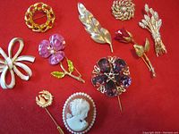 Ten assorted costume jewellery pins laid out on red fabric, showing variety in design and materials