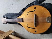 Full view of the mandolin showing the body, strings, and sound holes, laying on the floor with the gig bag partially underneath.