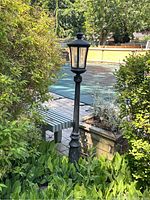 Single lamp post in garden setting showing overall height and placement