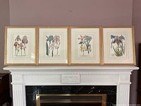 Four framed botanical prints of iris flowers displayed over a white mantel
