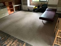 Full view of large beige Elte area rug on wood floor with moderate use and some stains, in room with furniture and windows.