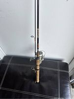 Fishing rod standing upright on black surface showing cork handle, metal reel seat, and rod details.