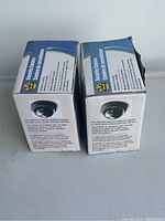 Two boxed security cameras, with labels showing realistic dome camera images and motion detection system. Boxes stated to measure 5x5 cm.