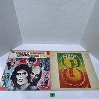 Two vintage vinyl albums titled The Rocky Horror Picture Show and Hair displayed side by side. The Rocky Horror Picture Show album has a colorful character collage on the cover. The Hair album cover has a stylized face in warm colors.