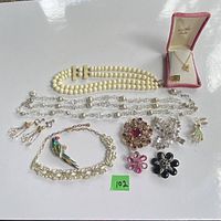 Full view of all costume jewelry items including necklaces, brooches, earrings, and pendant with pink velvet box
