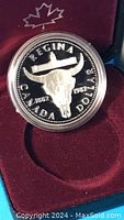 Close-up photo of the 1982 Regina commemorative proof silver dollar coin inside the capsule showing the buffalo skull and canoe design with frosted details.