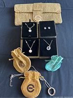 Full view of five silver tone jewelry pieces including pendants with clear faceted stones, blue center stone pendant, earrings, three velvet pouches, and animal print clutch.