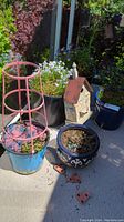 Blue ceramic pot with pink metal plant cage, black ceramic pot with white flowers, rustic birdhouse with brown roof, and other pots on a patio.
