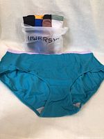 Teal women's brief laid flat showing full design and pink waistband.