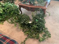 Three faux ivy-like plants on carpet near wooden table, showing dense foliage and trailing vines.