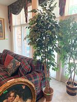 Tall artificial tree with green foliage in a wicker basket next to a plaid sofa and window.