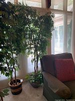 Two faux trees near window, one in wicker basket pot, one in dark ceramic pot with greenery at base.