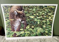 Print titled 'After The Rain' featuring a realistic mountain lion in a lush green environment after rain, signed and numbered by R.V. Stanley.