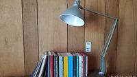 Wide photo showing the desk lamp and the full set of assorted books placed on a wood surface against wood panel wall.