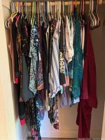 Full view of closet section with womens clothing hung on a rod, showing a variety of tops and robes and extra hangers.