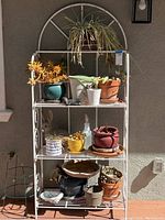 Full view of the white metal plant stand with nine potted plants and a large unopened box of Miracle-Gro. Plants vary in type and pot style.