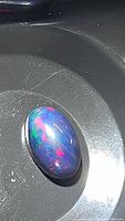 Close-up photo of the oval cabochon black opal showing bright multicolored flashes including red, green, and blue under lighting.