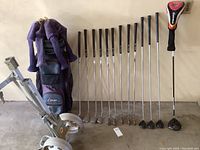 Overall view of 13 clubs lined up with stand bag and pushcart