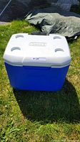 Front view of the blue and white Coleman cooler placed on grass, showing the lid with four cup holders and a centered handle on top.