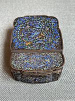 Closed case showing enamel floral, bird and dragonfly motif on scalloped lid
